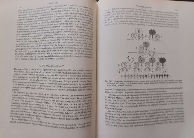 Strasburger's Textbook of Botany 1967