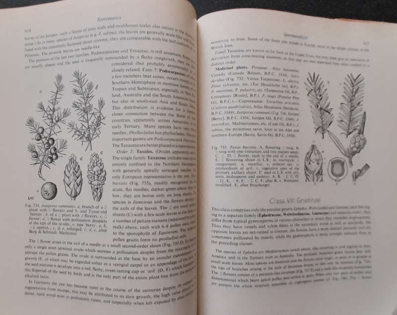 Strasburger's Textbook of Botany 1967