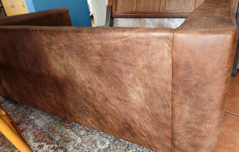 Exotic Leather couch