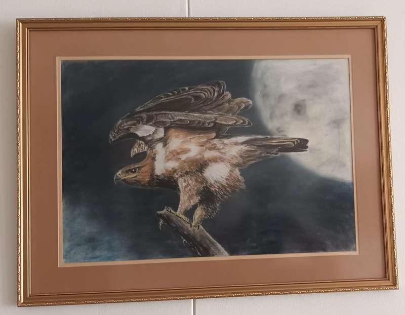EAGLE FRAMED PASTEL PAINTING. 73x55.5cm.