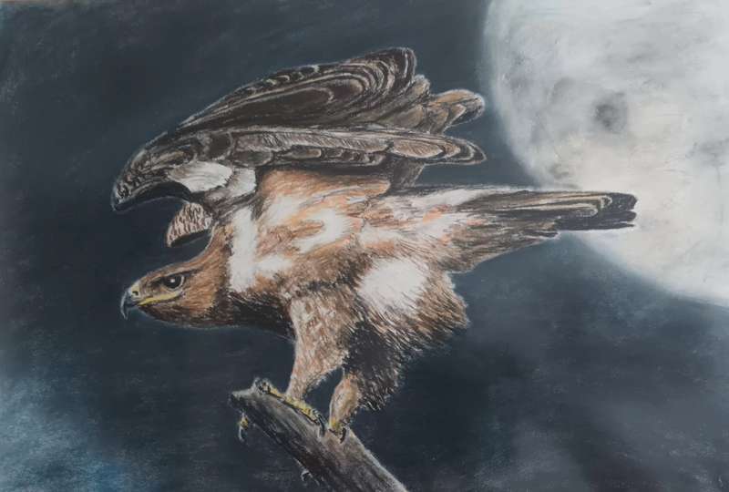 EAGLE FRAMED PASTEL PAINTING. 73x55.5cm.