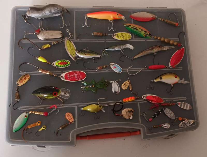 31 Piece Bass Spinning Lures in case.  Rapala and some good makes.