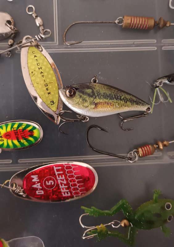31 Piece Bass Spinning Lures in case.  Rapala and some good makes.