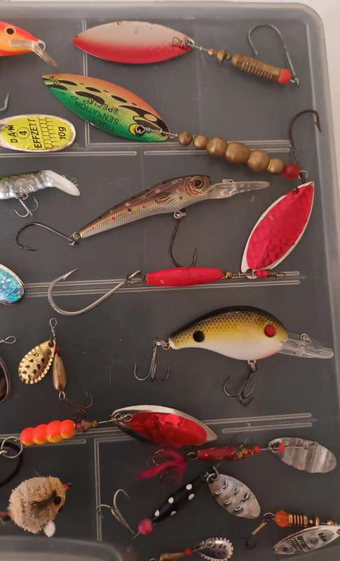 31 Piece Bass Spinning Lures in case.  Rapala and some good makes.