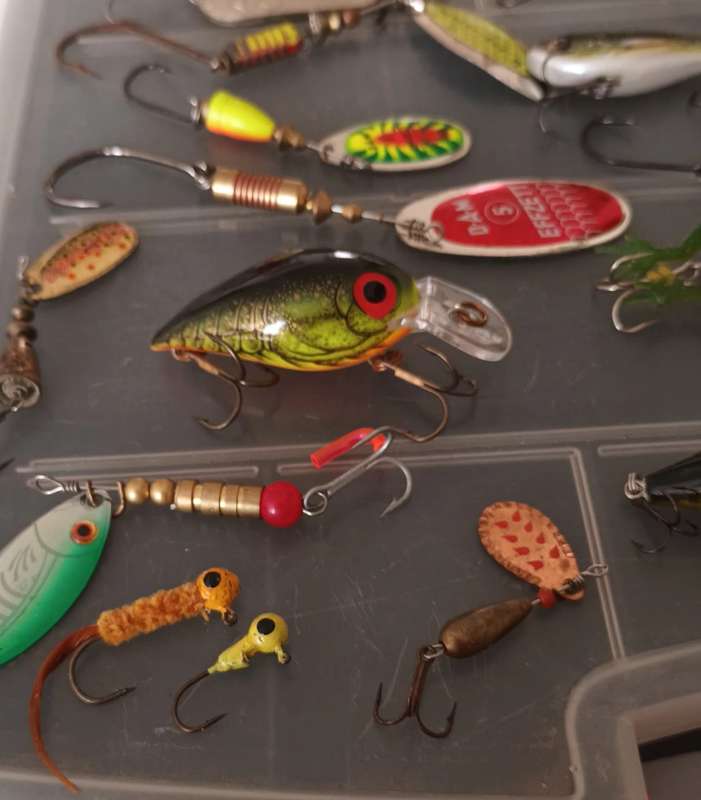 31 Piece Bass Spinning Lures in case.  Rapala and some good makes.