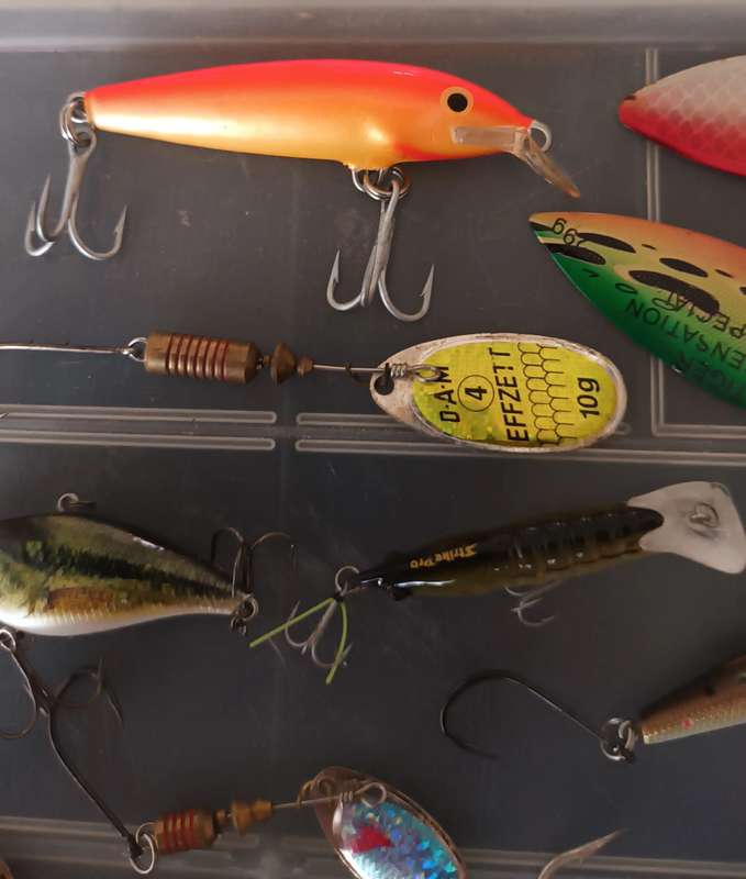 31 Piece Bass Spinning Lures in case.  Rapala and some good makes.