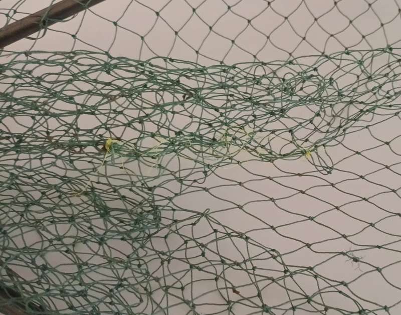 Fishing Landing net. Patched up. Still useable. Length 1.41m