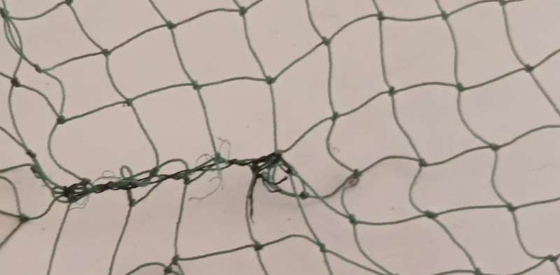 Fishing Landing net. Patched up. Still useable. Length 1.41m