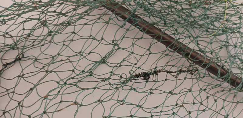 Fishing Landing net. Patched up. Still useable. Length 1.41m