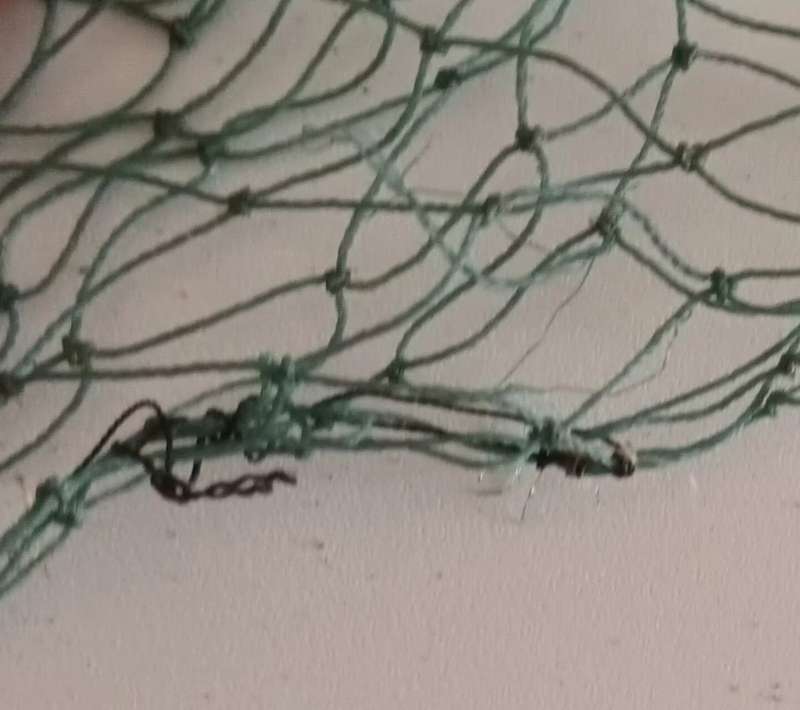 Fishing Landing net. Patched up. Still useable. Length 1.41m