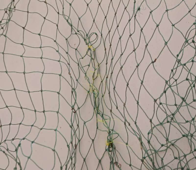 Fishing Landing net. Patched up. Still useable. Length 1.41m