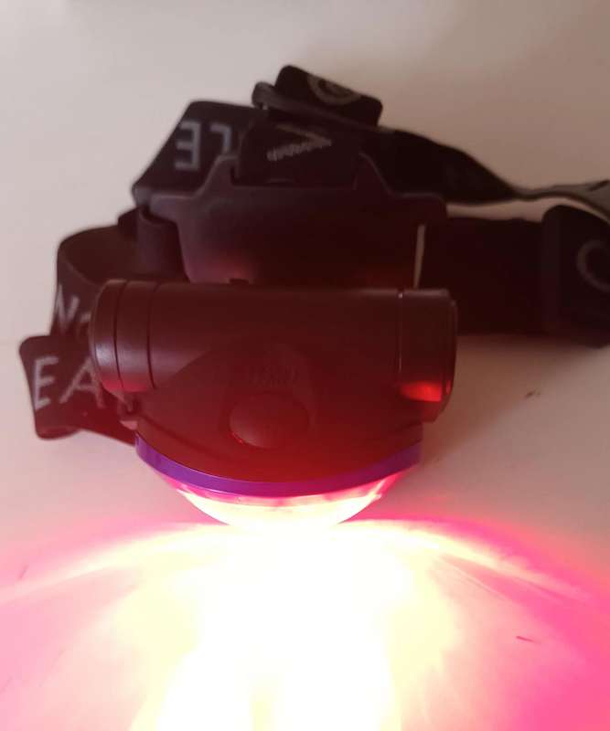 Headlamp. Ideal for night time fishing.