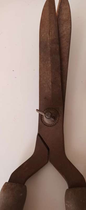 Vintage Garden Tools.