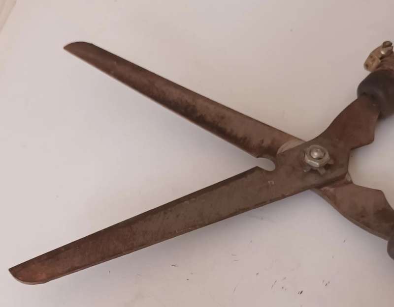 Vintage Round Nose Garden Sheers.