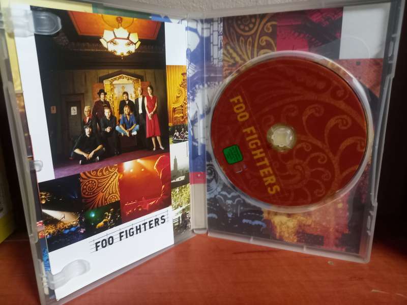 Foo Fighters Skin And Bones
