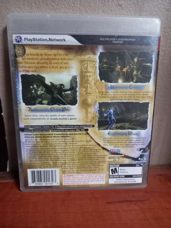 Demon's Souls