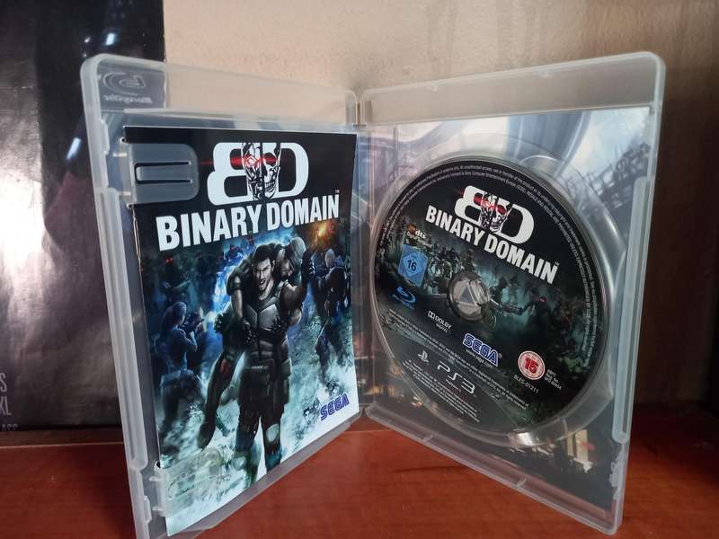 Binary Domain