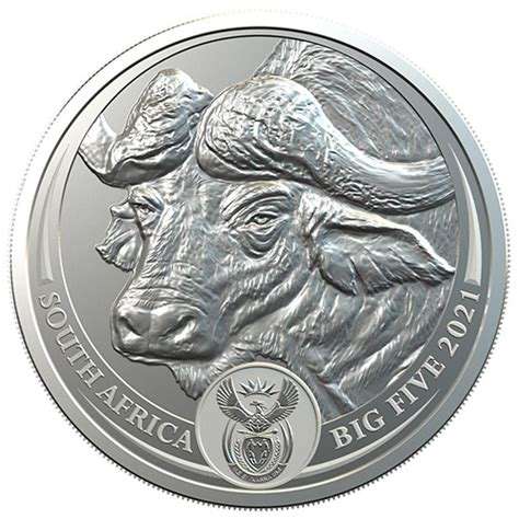 Big Five S1 Silver Brilliant Uncirculated Buffalo