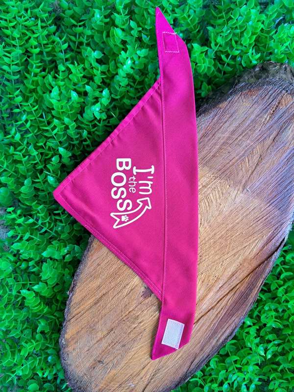 Pet bandana - I'm the boss - pink