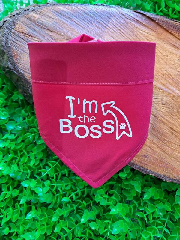Pet bandana - I'm the boss - pink