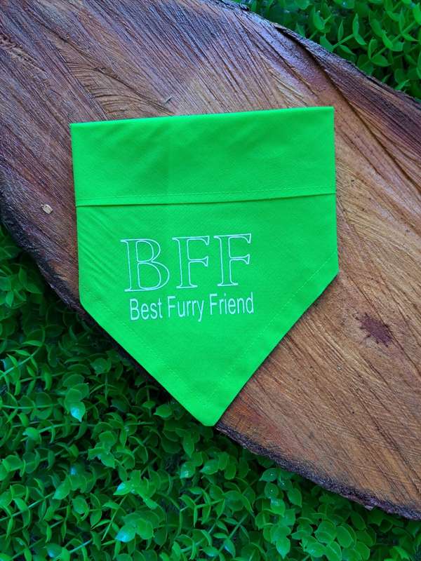 Pet bandana - BFF best furry friend - green