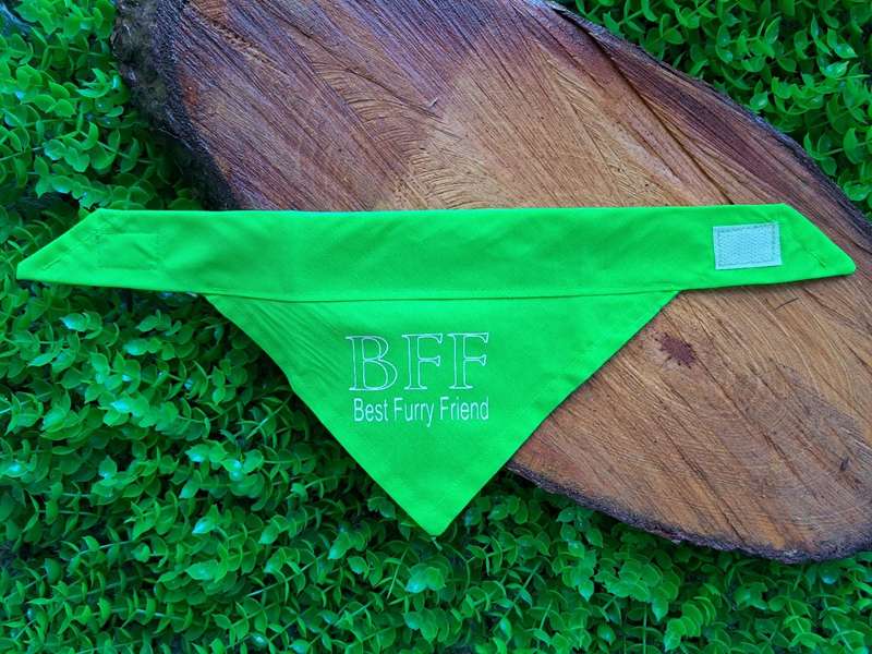 Pet bandana - BFF best furry friend - green