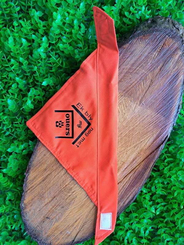 Pet Bandana - Ek bly nog met my ouers - orange