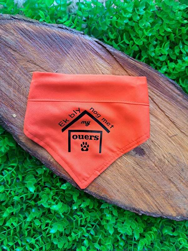 Pet Bandana - Ek bly nog met my ouers - orange