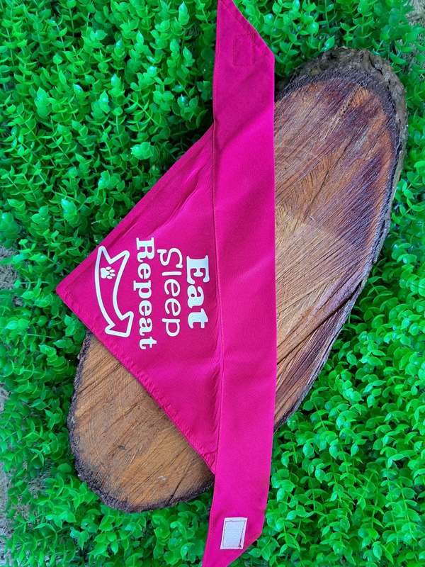 Pet bandana - eat, sleep, repeat - pink