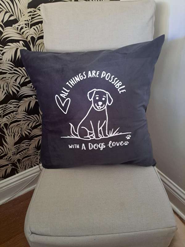 Scatter cushion