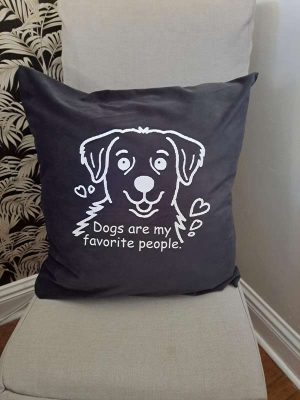 Scatter cushion