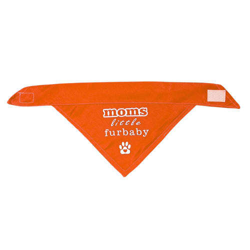 Pet Bandana Orange  ( Mom's little furbaby)