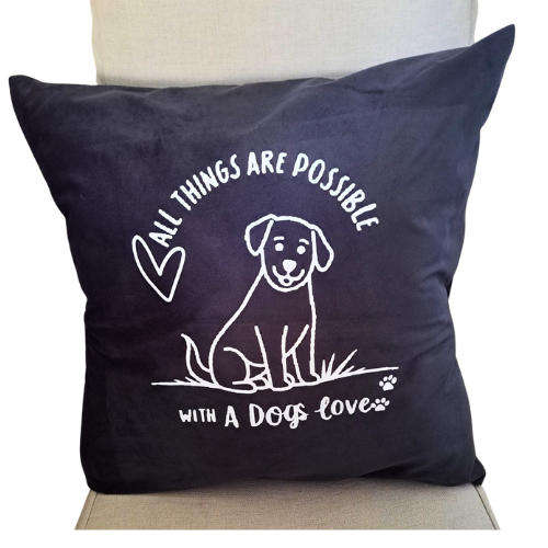 Scatter cushion