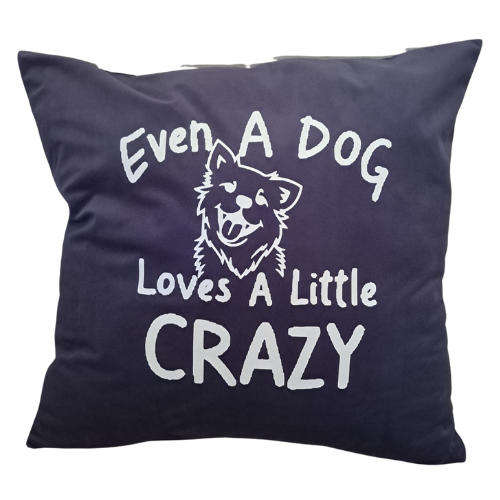 Scatter cushion