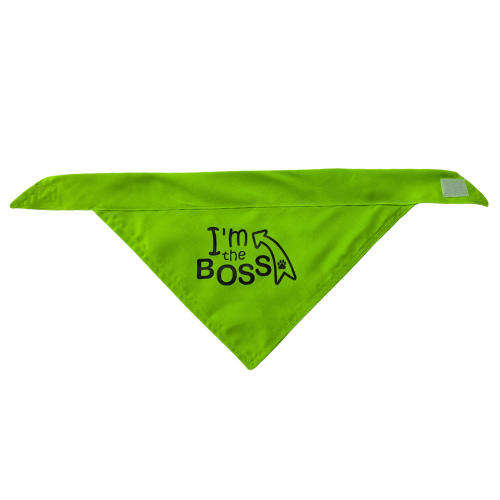 Pet Bandana Green ( I'm the Boss )