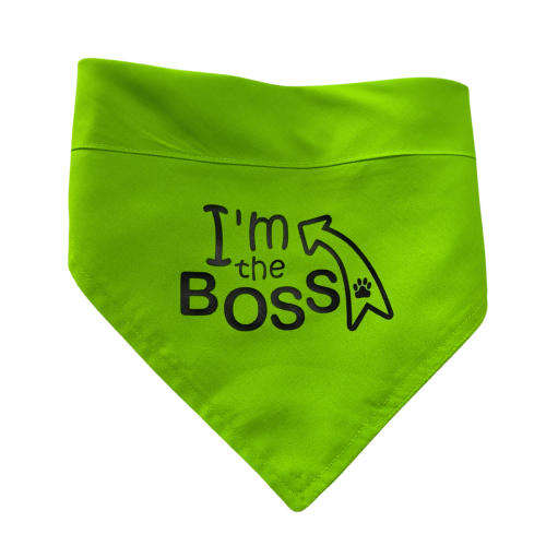 Pet Bandana Green ( I'm the Boss )
