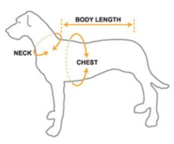 Dog Vest - Ma se liefste hondjie