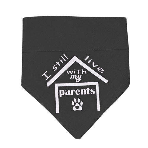 Pet Bandana Black (I still live with my parents)