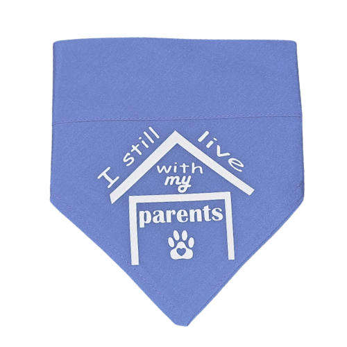 Pet Bandana Blue (I still live with my parents)