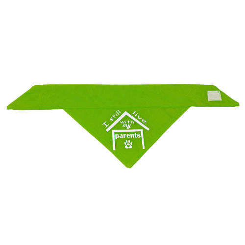 Pet Bandana Green (I still live with my parents)
