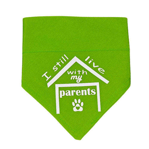 Pet Bandana Green (I still live with my parents)