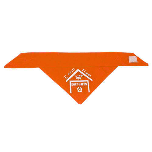 Pet Bandana Orange (I still live with my parents)