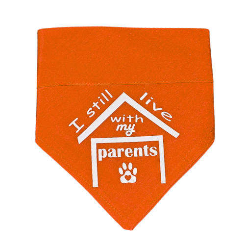 Pet Bandana Orange (I still live with my parents)