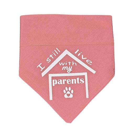 Pet Bandana Pink (I still live with my parents)