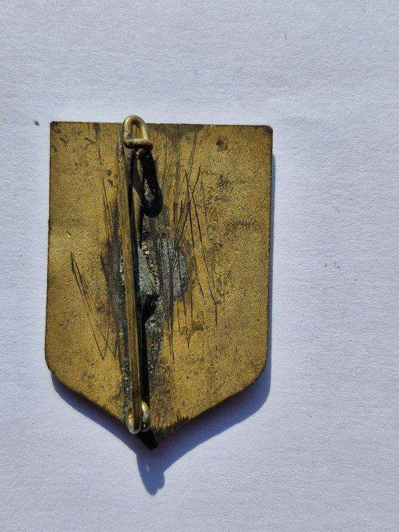 Unknown French badge