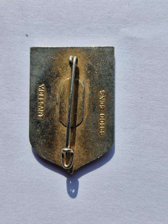 Unknown French badge