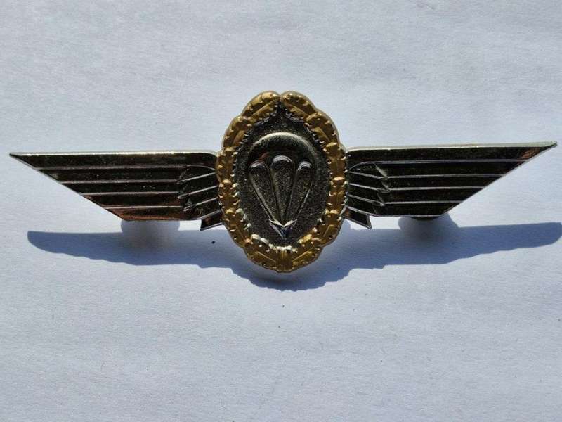German Silver Parachute Wing