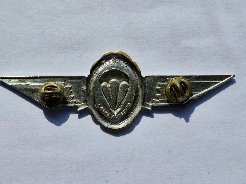German Silver Parachute Wing