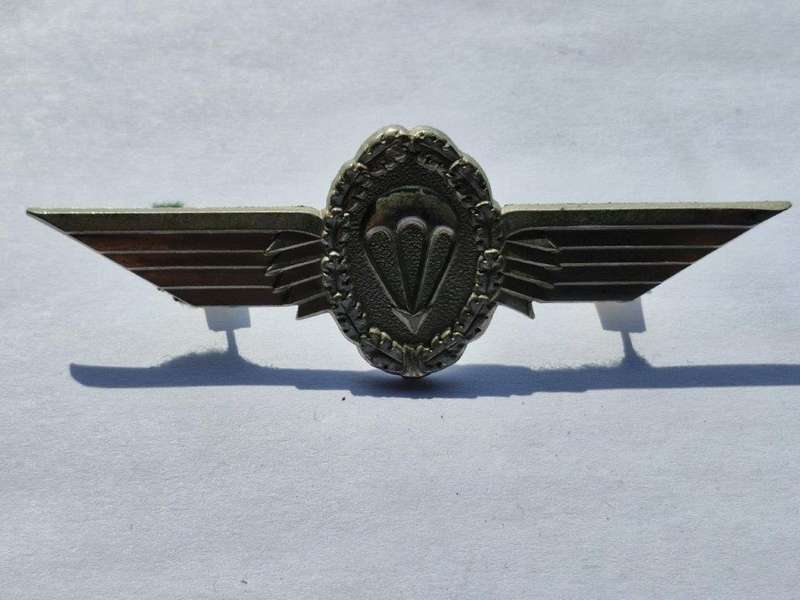 German Parachute Wing
