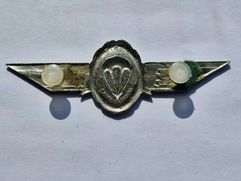 German Parachute Wing